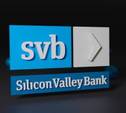 What happened to Silicon Valley Bank and Why did it Fail? Lessons for Niche Banks